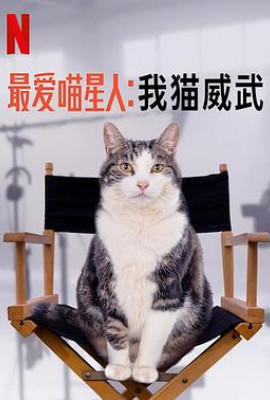 最爱喵星人：我猫威武