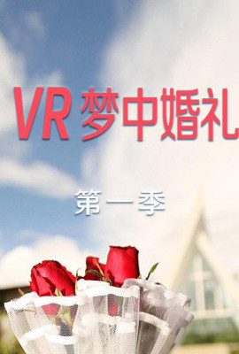 VR梦中婚礼第一季