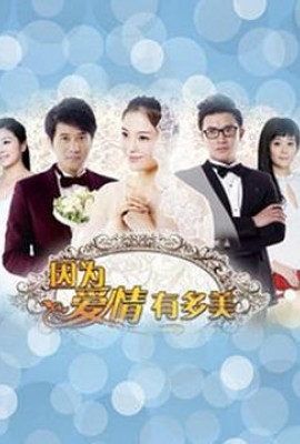 因为爱情有多美DVD