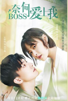 奈何BOSS爱上我