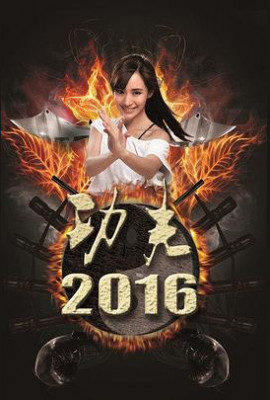 功夫2016