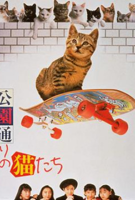 公园路的猫们