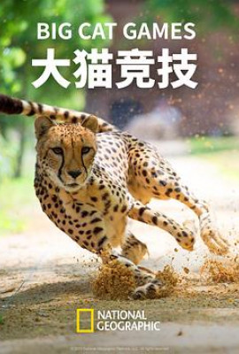 大猫竞技