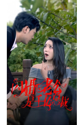 闪婚后老公是千亿总裁